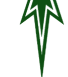 ZRT star logo
